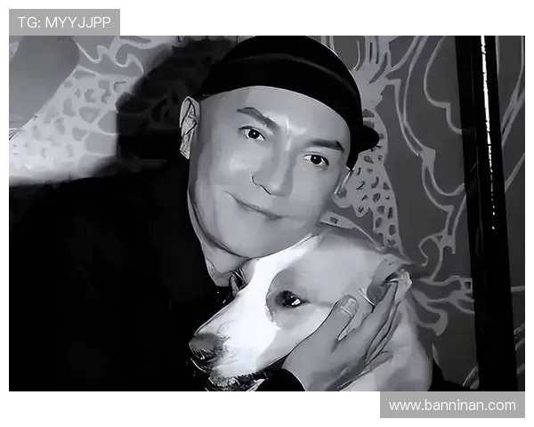 尊龙用现娱乐一下：从经典到现代，尊龙如何用娱乐方式展现多面魅力