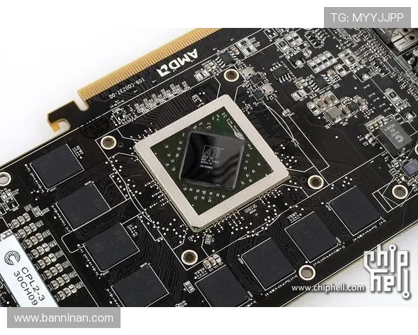 探讨尊龙凯时官方app的功能及用户体验的全面评测