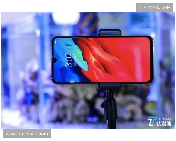 Z6人生就是博：用游戏中的经验指导现实生活中的决策与规划