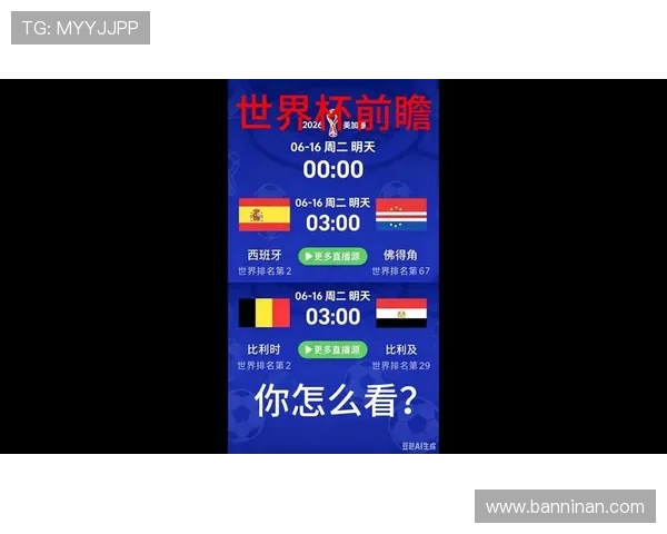 世界杯期间埃及与比利时比赛场地的地理位置及场地条件详尽解读